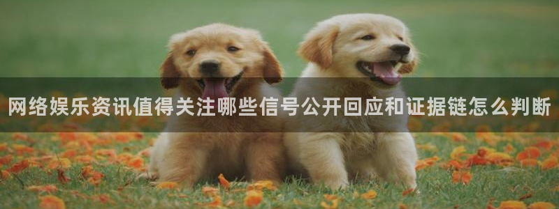 理性吃瓜今日更新