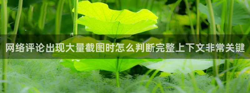 吃瓜新闻事件始末