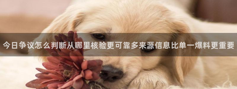 吃瓜新闻来源梳理