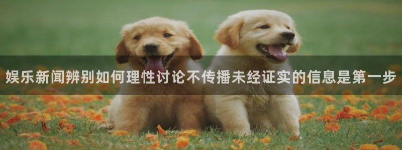 娱乐吃瓜今日更新