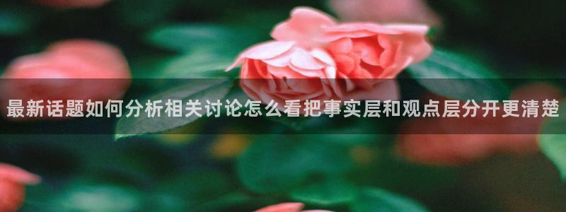理性吃瓜事件始末