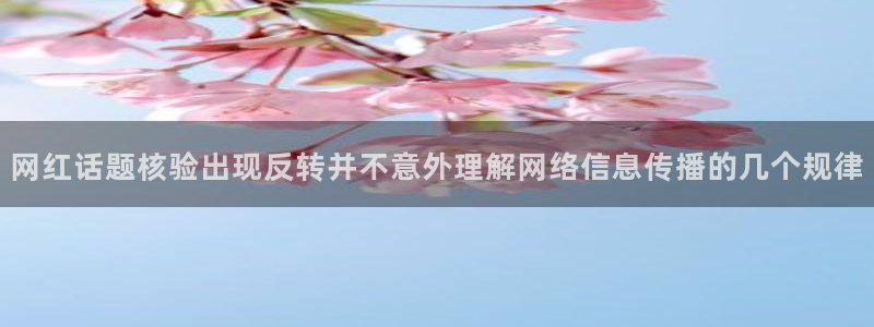网络热点今日更新
