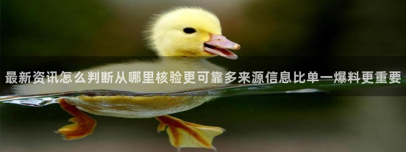 热门吃瓜后续进展