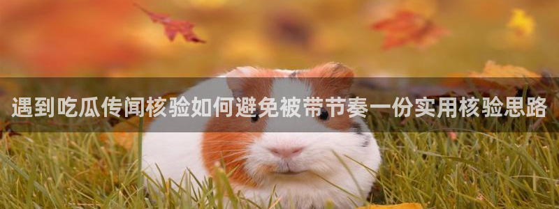 网络热点原始出处